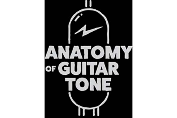 Anatomy of Guitar Tone (600 x 400)